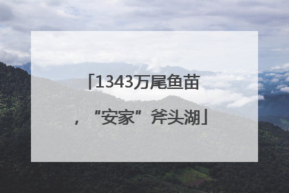 1343万尾鱼苗，“安家”斧头湖