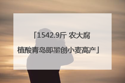 1542.9斤 农大腐植酸青岛即墨创小麦高产