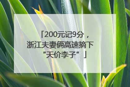 200元记9分，浙江夫妻俩高速摘下“天价李子”