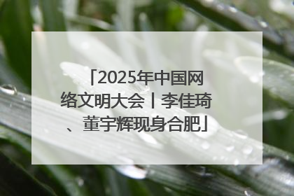 2025年中国网络文明大会丨李佳琦、董宇辉现身合肥