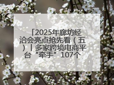 2025年廊坊经洽会亮点抢先看（五）丨多家跨境电商平台“牵手”107个特色产业集群
