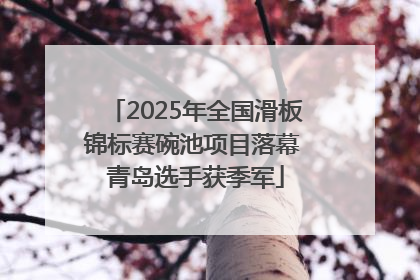 2025年全国滑板锦标赛碗池项目落幕 青岛选手获季军