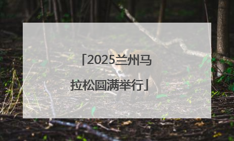 2025兰州马拉松圆满举行