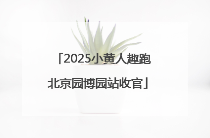 2025小黄人趣跑北京园博园站收官