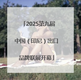 2025第九届中国（印尼）出口品牌联展开幕