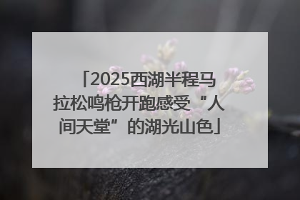 2025西湖半程马拉松鸣枪开跑感受“人间天堂”的湖光山色