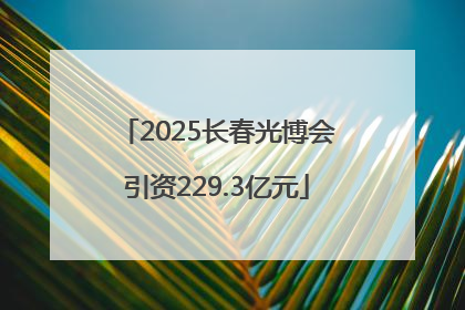 2025长春光博会引资229.3亿元