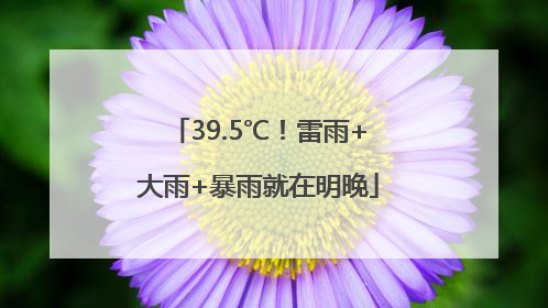 39.5℃！雷雨+大雨+暴雨就在明晚