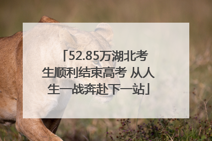 52.85万湖北考生顺利结束高考 从人生一战奔赴下一站