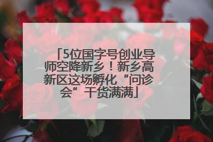 5位国字号创业导师空降新乡！新乡高新区这场孵化“问诊会”干货满满