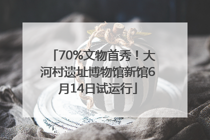 70%文物首秀！大河村遗址博物馆新馆6月14日试运行