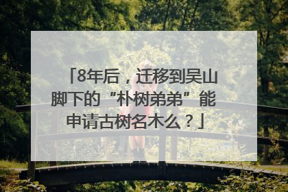 8年后，迁移到吴山脚下的“朴树弟弟”能申请古树名木么？