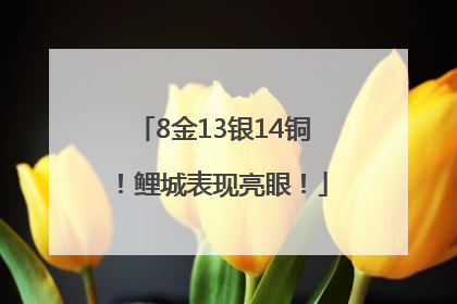 8金13银14铜！鲤城表现亮眼！