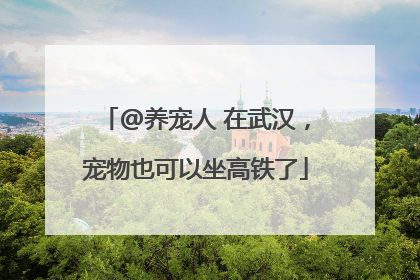 @养宠人 在武汉，宠物也可以坐高铁了