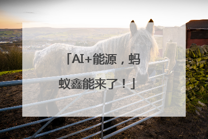 AI+能源，蚂蚁鑫能来了！