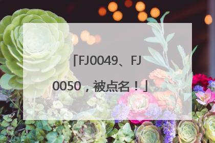FJ0049、FJ0050，被点名！