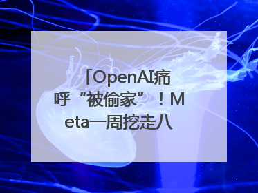 OpenAI痛呼“被偷家”！Meta一周挖走八员大将，千万美元薪酬战开打