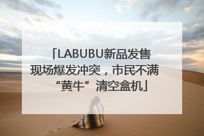 LABUBU新品发售现场爆发冲突，市民不满“黄牛”清空盒机