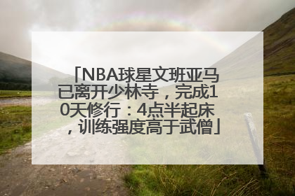 NBA球星文班亚马已离开少林寺，完成10天修行：4点半起床，训练强度高于武僧