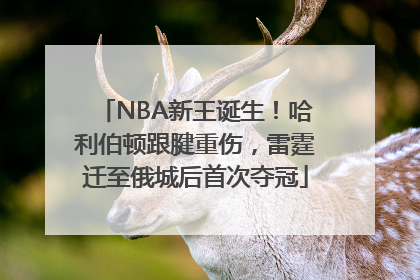 NBA新王诞生！哈利伯顿跟腱重伤，雷霆迁至俄城后首次夺冠